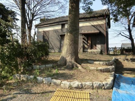 舟つなぎの木 くすの木（幹回り4m）｜かんこう輪之内