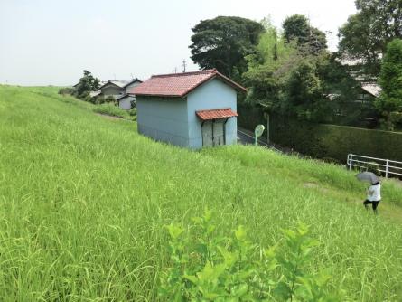 城浦の水防倉庫 かんこう輪之内